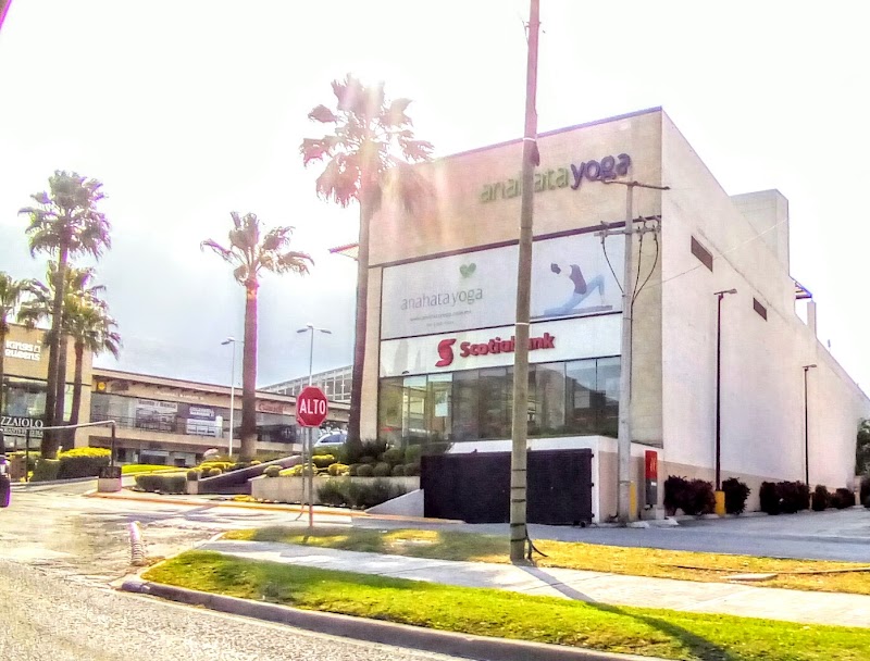 Scotiabank Chipinque en Plaza Chipinque